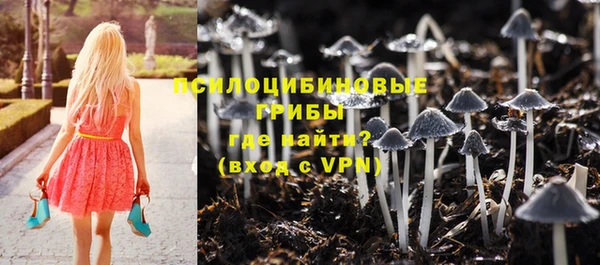 первитин Алексин