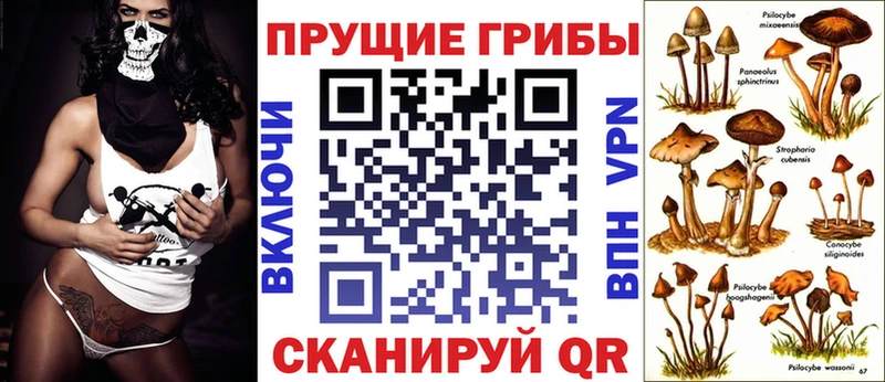 Псилоцибиновые грибы Cubensis  Вихоревка 